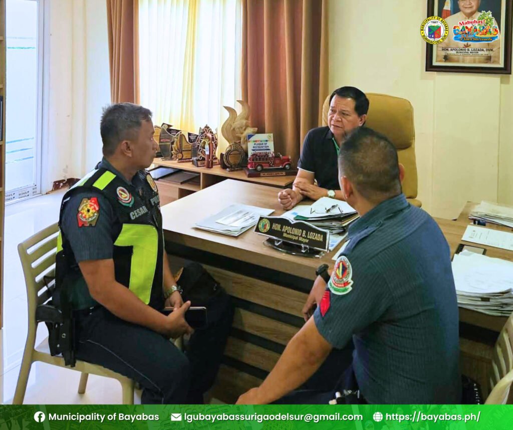 𝐏𝐔𝐁𝐋𝐈𝐂 𝐀𝐃𝐕𝐈𝐒𝐎𝐑𝐘 the local government unit of bayabas informs the public of recent incidents involving individuals hurling stones or other objects at pedestrians and vehicles traversing the