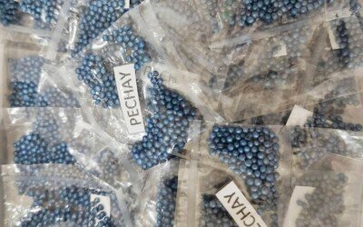 Home 718309495 984900900829215 4326301465307234524 n